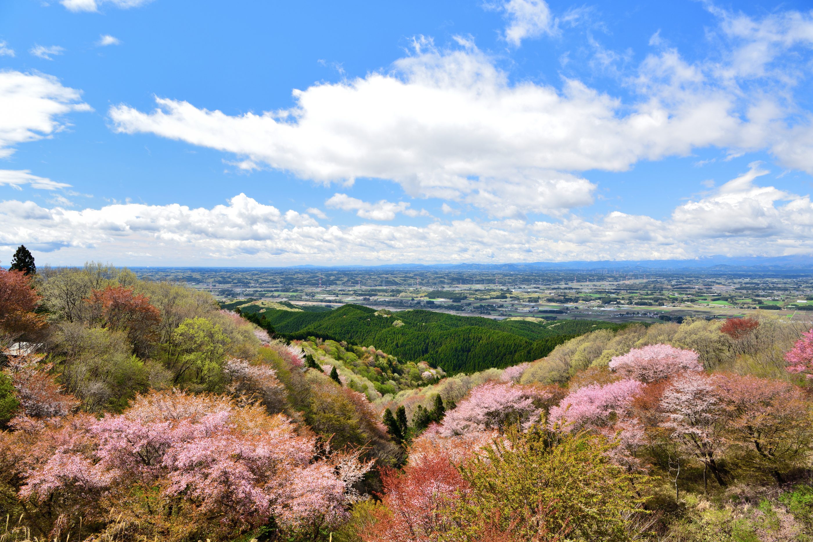 大田原の風景